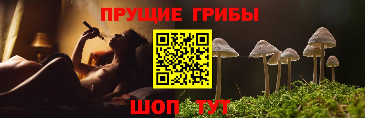 Галлюциногенные грибы прущие грибы Гагарин